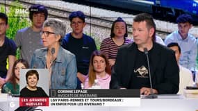 Nuisances sonores des nouvelles lignes LGV: "C'est invivable"