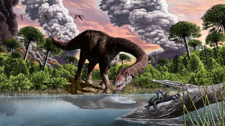 Illustration d'artiste d'une espèce de dinosaure sauropode, Bagualia Alba, fournie par le Musée paléontologique argentin Egidio Feruglio, le 19 novembre 2020 