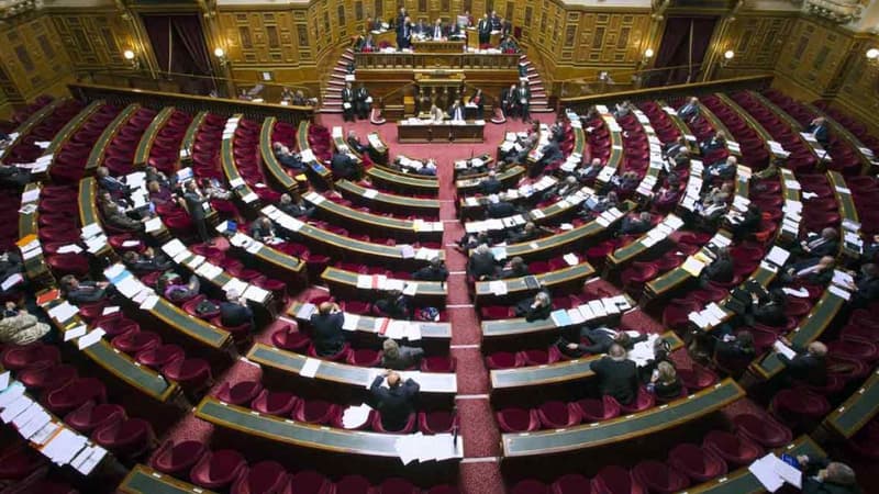 L'hémicycle du Sénat.