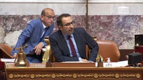 Sébastien Chenu au perchoir de l'Assemblée nationale, le 19 juillet 2022.