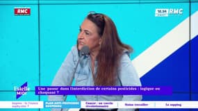 Pause dans l'interdiction de certains pesticides: "C'est extrêmement choquant, politiquement"
