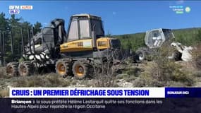 Alpes-de-Haute-Provence: des habitants de Cruis se mobilisent contre le défrichage de la forêt