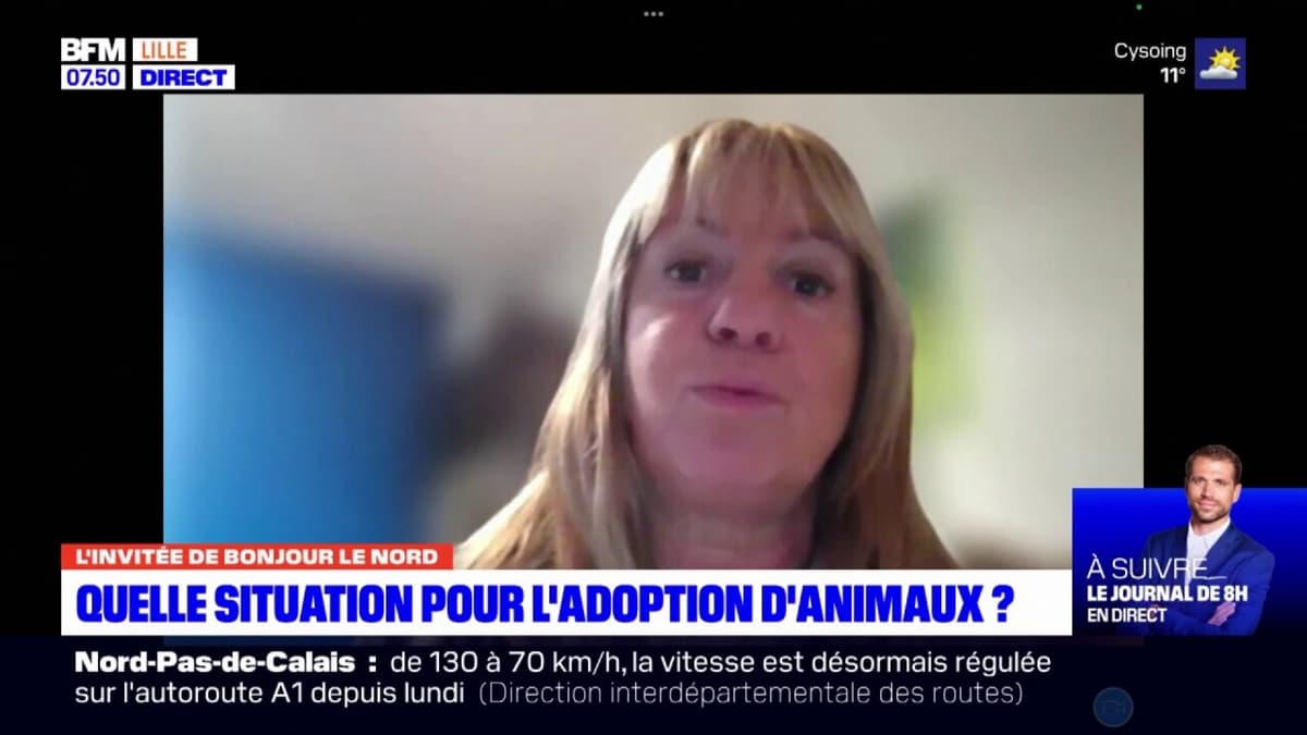 placeholder video