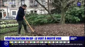 Végétalisation en Ile-de-France: Vitry-sur-Seine distinguée pour l'entretien de ses espaces verts