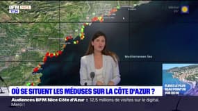Où se situent les méduses sur la Côte d'Azur?