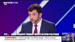 "Ce n'est pas possible": Jean-Philippe Tanguy s'oppose à "l'assimilation par le travail" pour les personnes entrées "illégalement" en France