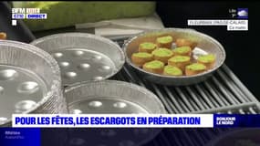 Pas-de-Calais: la préparation des escargots commence à quelques jours des fêtes de fin d'année
