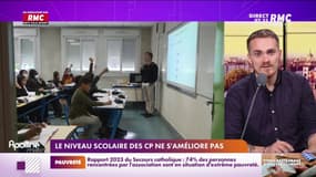 Le niveau scolaire "inquiétant" des écoliers et collégiens français