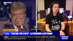 "Eating the cats": un artiste sud-africain parodie la fake news de Donald Trump en chanson