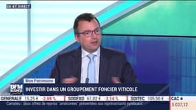 Mon patrimoine : Investir dans un groupement foncier viticole, par Cédric Decoeur - 23/07