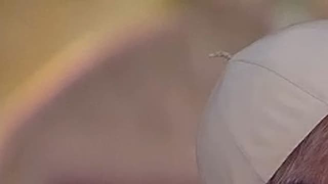 Le pape s'adressait samedi aux JMJ à une foule estimée à plus d'un million de personnes.