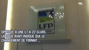 Ligue 1: Un championnat à 22 clubs ne "serait pas un problème" pour Mediapro
