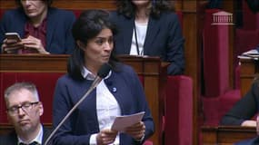 "Les centres de rétention deviennent des centres de détention", regrette la députée LREM Sonia Krimi