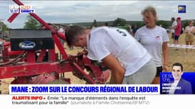 Alpes-de-Haute-Provence: un concours régional de labour à Mane