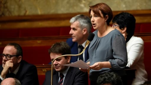 Isabelle Attard, le 20 janvier 2016 au Parlement à Paris