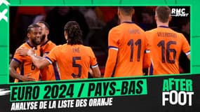Euro 2024 : Absence de Zirkzee, incertitude au poste de gardien ... Analyse de la liste des Pays-Bas