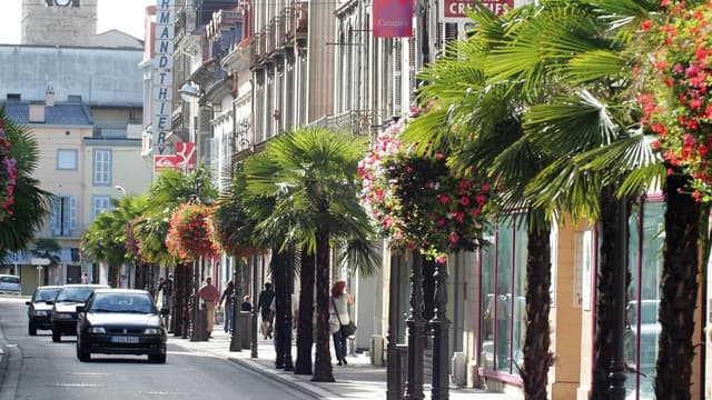 Les grandes surfaces restent les plus demandées