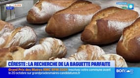 Les artisans DICI: la recherche de la baguette parfaite à Céreste