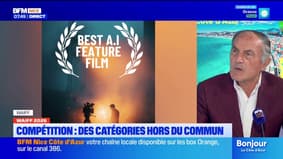 WAIFF 2026 : compétition, des catégories hors du commun et l'actrice Gong Li, présidente de la 2ème édition