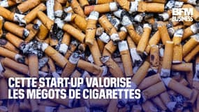  Cette start-up valorise les mégots de cigarettes 