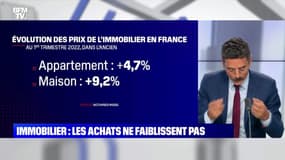 Immobilier : les achats ne faiblissent pas - 06/06