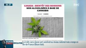 Vers de la marijuana dans le Pastis? Pernod Ricard l'envisage