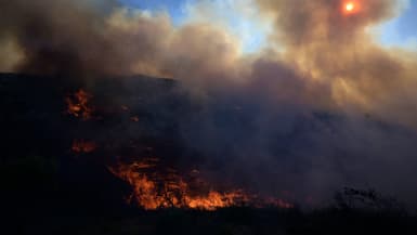 Un incendie dans la banlieue d'Athènes, en Grèce, fin juin 2024