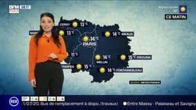 Météo Paris-Ile de France du 12 juillet: Soleil et chaleur ce dimanche