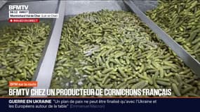 Alors que les Français sont les plus gros consommateurs de cornichons au monde, ce producteur veut mettre en avant la production française