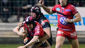 Matt Giteau