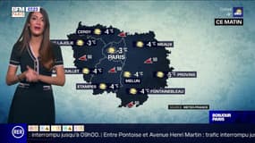 Météo Paris-Ile de France du 12 février: Du soleil et du froid prévus pour aujourd'hui