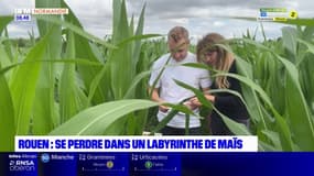 Balades Normandes du samedi 22 juillet 2023