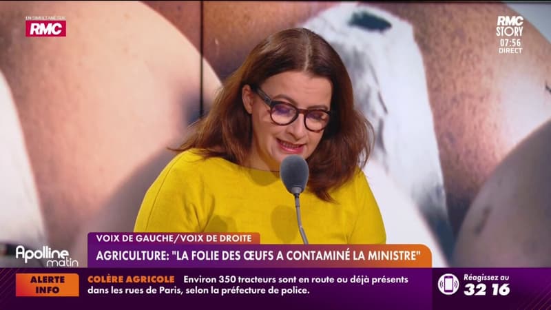 Voix de gauche - Agriculture : "La folie des œufs a contaminé la ministre"