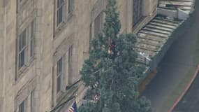 L'homme est resté dans cet arbre pendant près de 24 heures.