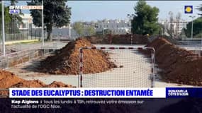Nice: la destruction du stade des Eucalyptus a commencé