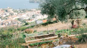 La Table du Potager- Hôtel du Cap-Ferrat, A Four Seasons Hotel