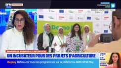 Marseille Business du mardi 14 janvier - Un incubateur pour des projets d'agriculture 