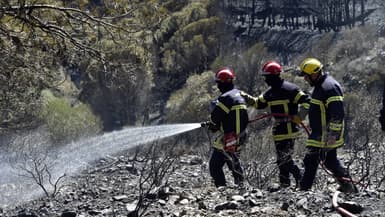 Des pompiers en train d'éteindre un incendie dans les Pyrénées-Orientales en mai 2023 (photo d'illustration)