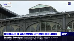 Lille: les Halles de Wazemmes, toujours plus populaires