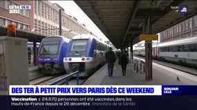 "À ce prix-là, je prends": des Lille-Paris à seulement 10 euros en TER le week-end 