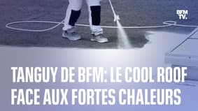  TANGUY DE BFM - Face aux fortes chaleurs, repeindre les toits en blanc pour faire diminuer les températures à l'intérieur