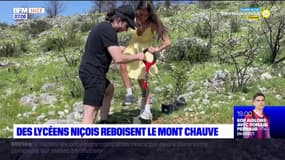 Moins d'un an après des incendies, des lycéens niçois reboisent le mont Chauve