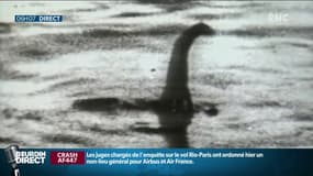 Et si le "monstre du Loch Ness" n'était qu'une... grosse anguille?
