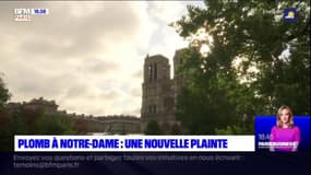 Notre-Dame: une nouvelle plainte déposée concernant la pollution au plomb