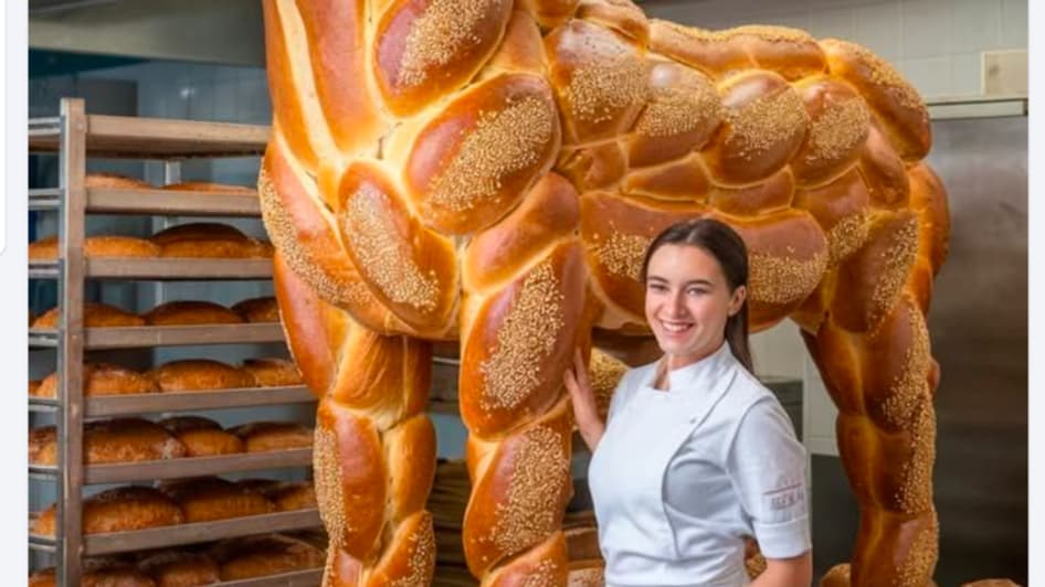 Le Challah Horse. Le Challah Horse.