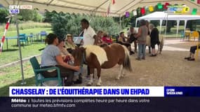 Rhône: de l'équithérapie pour les résidents d'un Ehpad à Chasselay