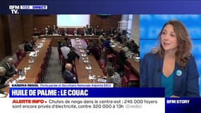 Huile de palme: le couac - 15/11