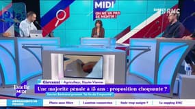 Giovanni, Auditeur RMC donne son avis sur la délinquance chez les jeunes : "pour moi, la prison c'est l'école de la délinquance !" 