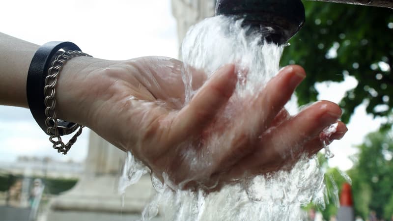 Il y a près de 300 fontaines à Paris, dont des fontaines d'eau pétillante.