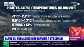 Alpes du Sud: le mois de janvier a été particulièrement chaud